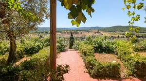 Poggio-al-Coniglio---Vista-aperta-su-colline-Toscane-dalla-veranda