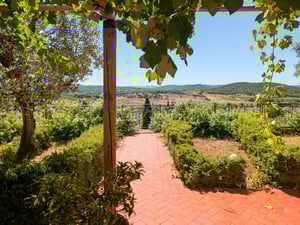 esterno-vista