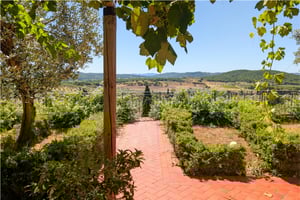 Vista esterno Poggio al Coniglio