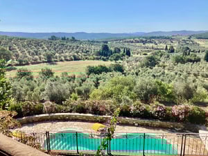 Vista panoramica su uliveti e piscina privata incorniciata da fiori colorati, sotto un cielo estivo azzurro.