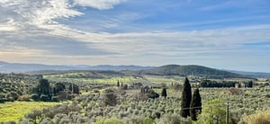 Panorama collinare al tramonto con giochi di luce sulle chiome argentee degli ulivi e il cielo rigato di nuvole.