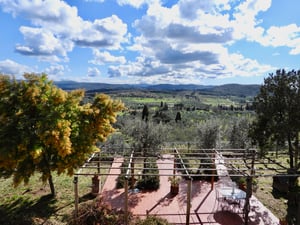 Vista ampia sulla campagna toscana con terrazza in cotto, pergola e albero di mimosa in fiore.